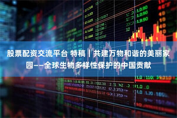 股票配资交流平台 特稿｜共建万物和谐的美丽家园——全球生物多样性保护的中国贡献